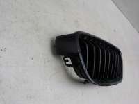 Решетка радиатора BMW 7 F01/F02  51137255412 - Фото 3