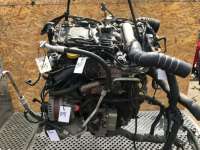 Проводка двигателя Renault Koleos 2008г.  - Фото 2