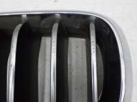 Решетка радиатора BMW X6 F16  51137316053 - Фото 9