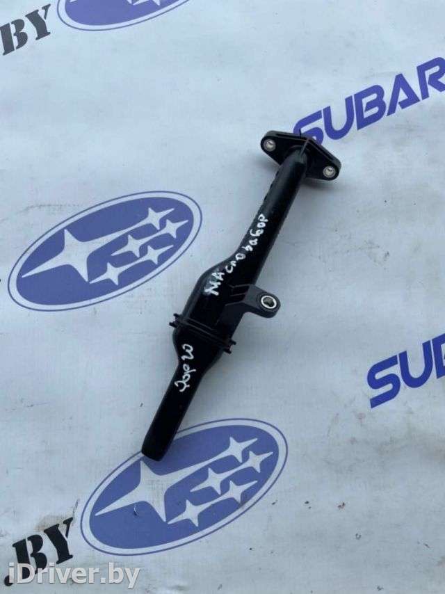 Маслоотделитель (сапун) Subaru Legacy 7 2020г.  - Фото 1