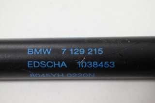 Амортизатор крышки багажника (3-5 двери) BMW 3 E90/E91/E92/E93 2006г. 7129215 , art598383 - Фото 5